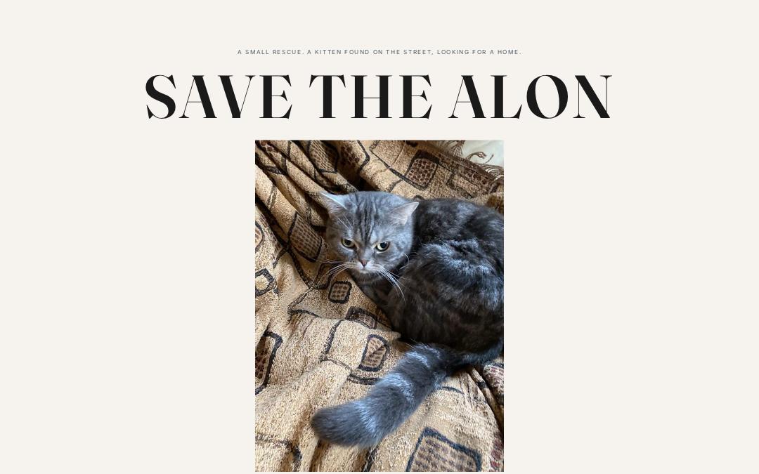 Front page of Save the Alon
